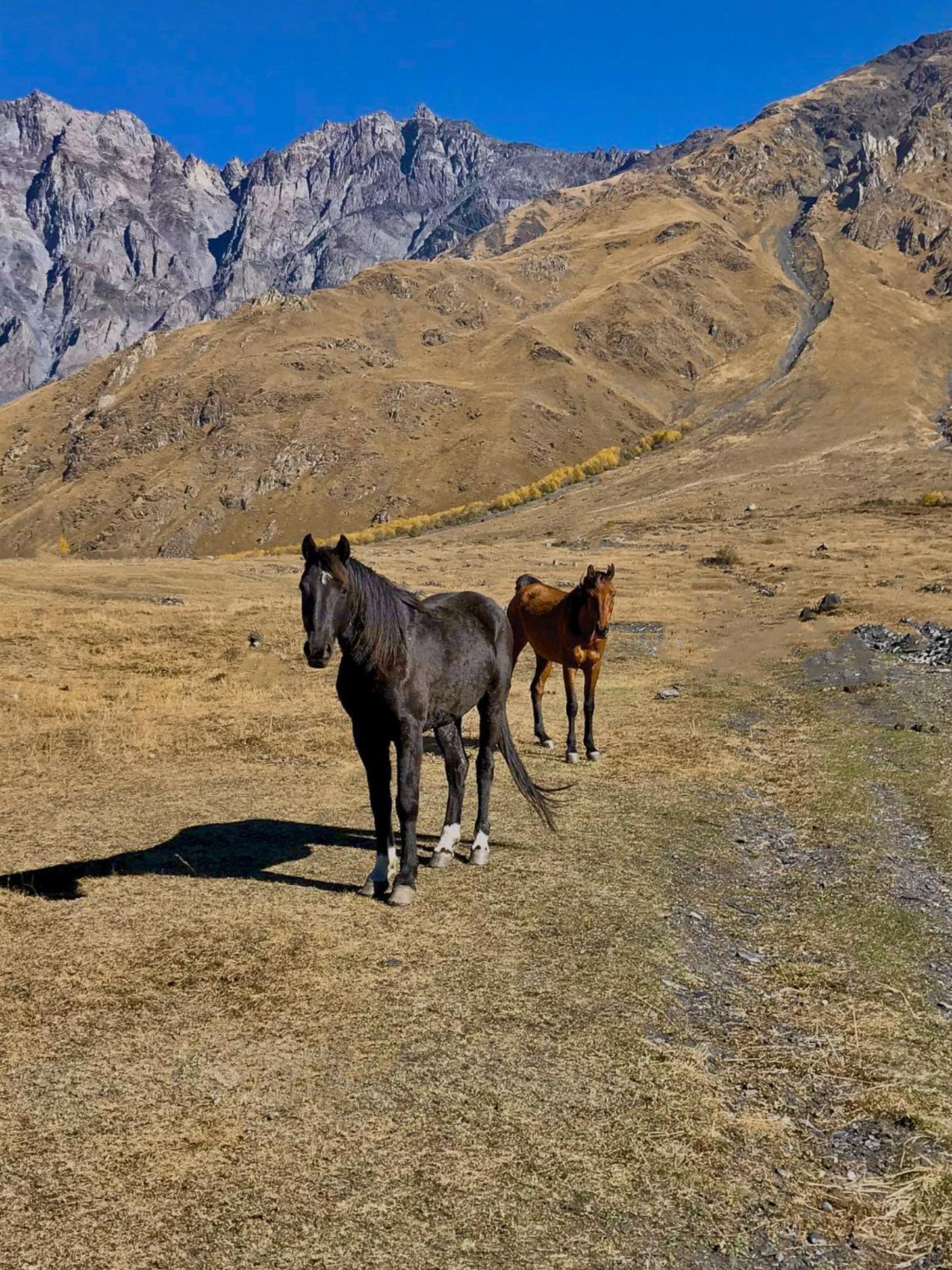 Kazbegi Inn Cottages Экстерьер фото